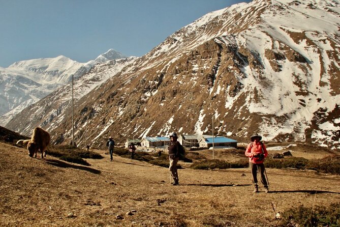14 Days Annapurna Circuit Trek - Chame to Pisang: the first real walking day