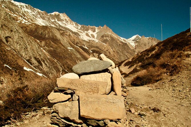 14 Days Annapurna Circuit Trek - Yak Kharka and Thorong Phedi