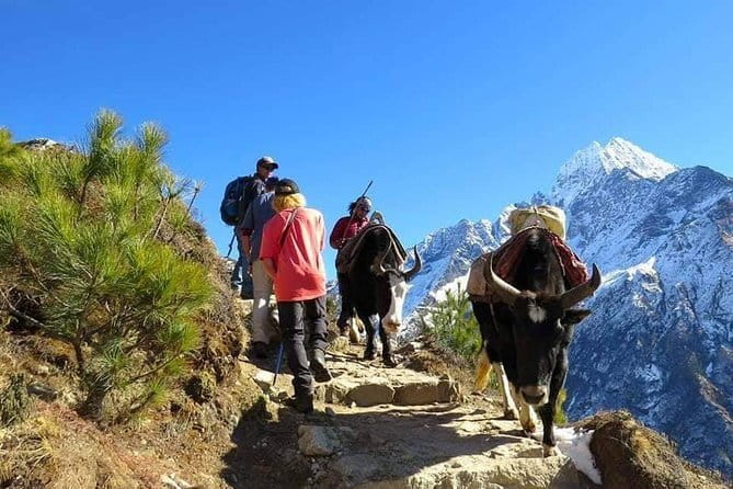 14 Days Everest Base Camp Trekking - Day 7: Dingboche acclimatization and Nagarjun