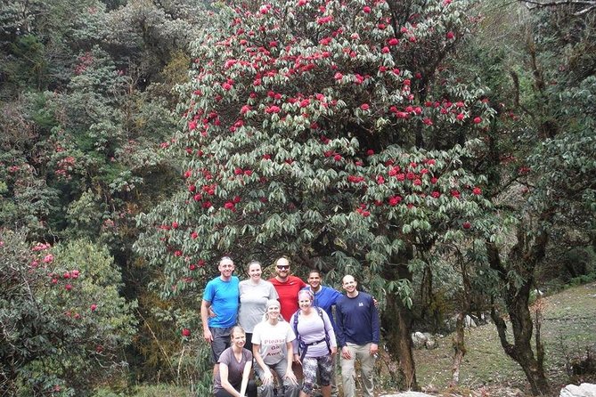 14 Days Luxury Annapurna Base Camp Trek - Days 12 to 14: Return to Pokhara and Kathmandu