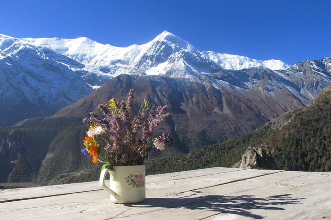 15-Day Private Annapurna Circuit Trek from Kathmandu - Day 4: Chamje to Chame through Dharapani