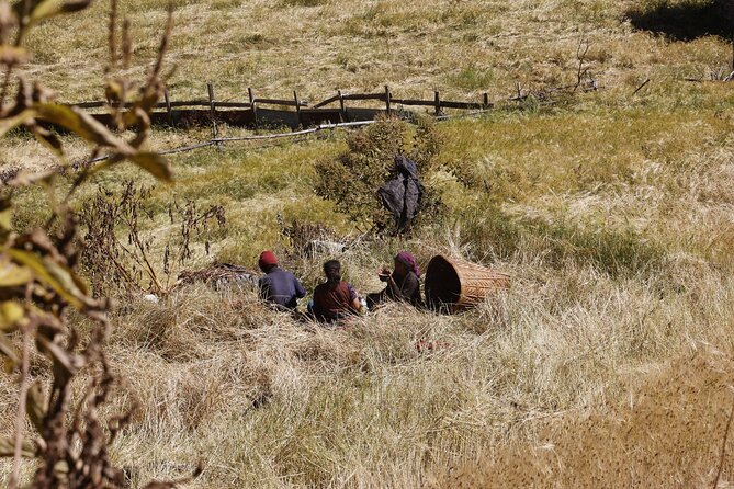 15 Days Manaslu Circuit Trek - Days 8 and 9: Punggyen Gompa and acclimatization at Samagaun