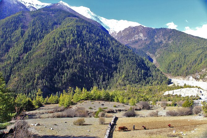 15 Days Round Annapurna Trek with Poon Hill from Pokhara - A complete Annapurna journey in 15 days