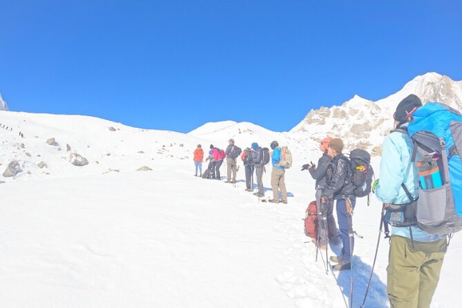 16 Day Private Manaslu Circuit Trek from Kathmandu - Days 14 to 16: Rhododendron forest, Besisahar, and the return