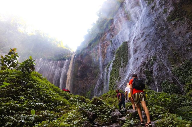 1Day - Tumpak Sewu Waterfall and Goa Tetes Cave Trekking - Key points to know before you book