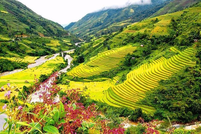 2-Day Amazing Sapa Trek With Sleeper Train From Hanoi - Overnight At Homestay - Three hours in Sapa Town before the return train