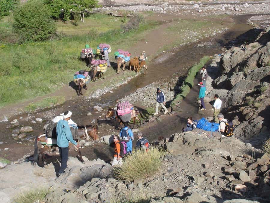 2-Day Atlas Mountains Morocco Trek with Village Stay - Key points to know before you book