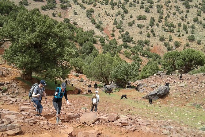 2-Day Guided Trek of the Atlas Mountains and Berber Villages - What the $197.45 Price Really Covers