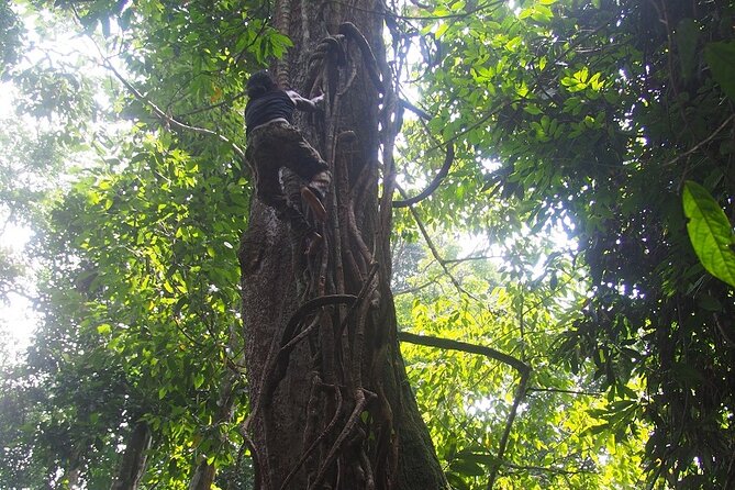 2-Day Jungle Trekking & Rafting in North Sumatra - Packing for a hot, wet jungle trip