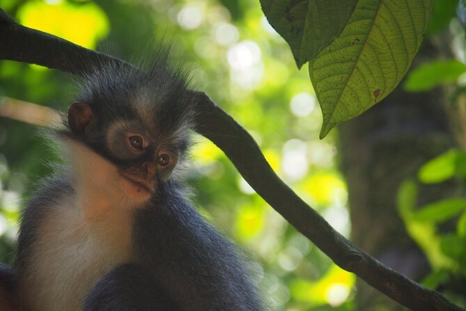 2-Day Jungle Trekking & Rafting in North Sumatra - Booking and cancellation details
