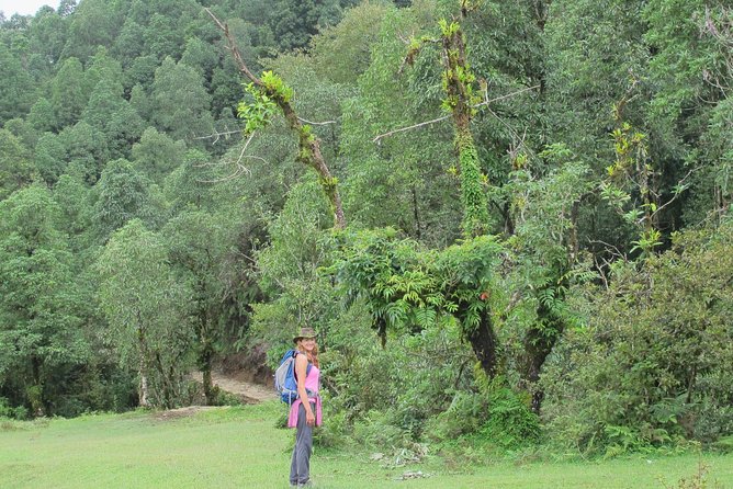 2-Day Private Trekking Tour to Australian Camp & Dhampus - Day 2: Annapurna sunrise and the return to Pokhara