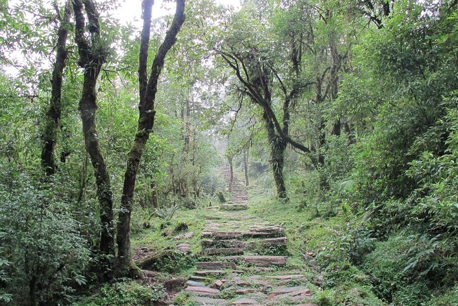 2-Day Private Trekking Tour to Australian Camp & Dhampus - Who should book this two-day trek