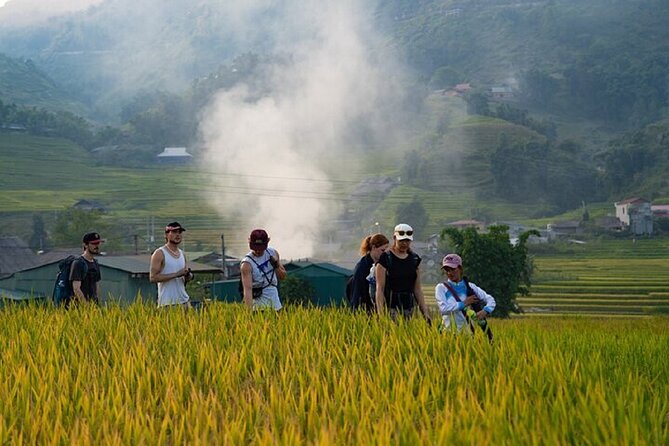 2-Day SAPA Trekking - Villages-Homestay-Ethnic-Local Food-Market - What the guide adds to the walk