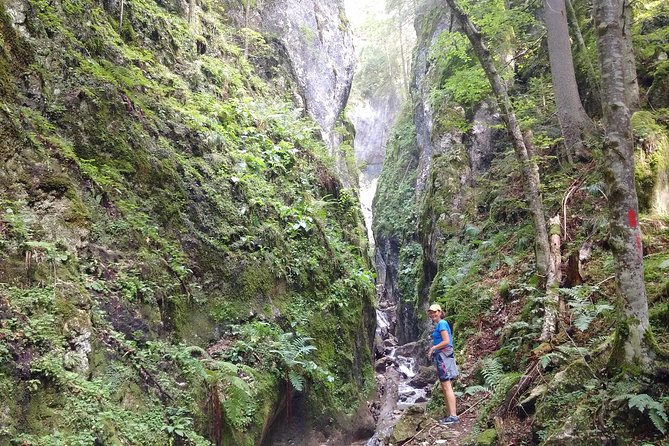 2-Day Transylvania Culture Trek from Brasov - Small Group Tour - Piatra Craiului turns the tour into a real trek
