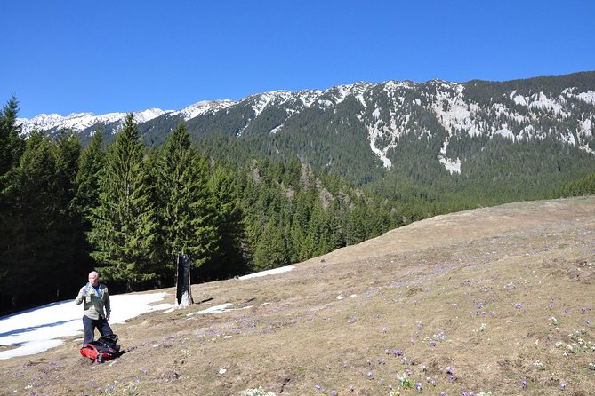 2-Day Transylvania Culture Trek from Brasov - Small Group Tour - Who will enjoy this Transylvania tour most