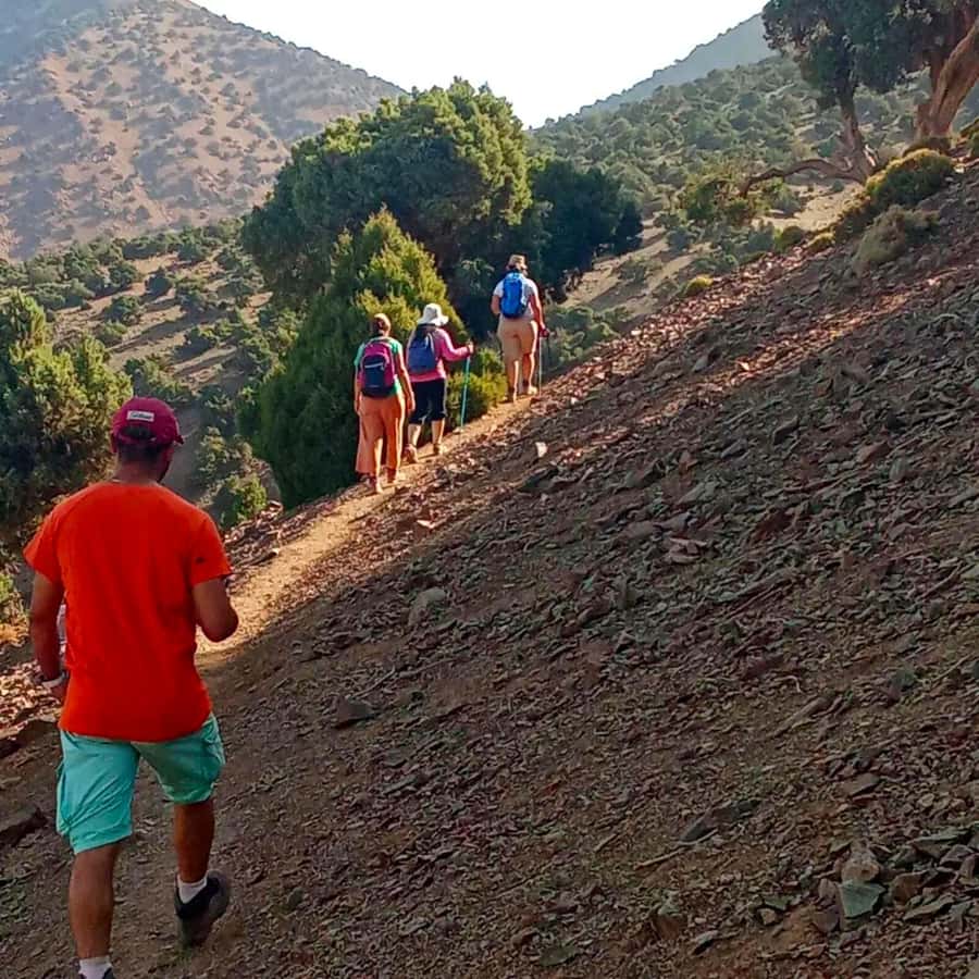 2-Day Trek, Berber Villages, and Stay in Azzaden Valley - Climbing Tizi Mzik to 2,480 meters