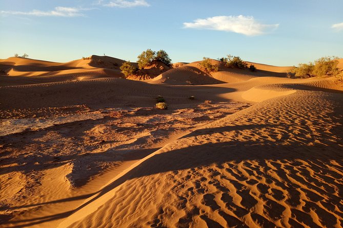 2-day trek - In the footsteps of beetles - Who should book this trek