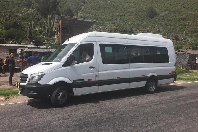 2 Day Trek Including Transfer to Puno / Colca Canyon - Pampa Cañahuas and the long ride to Puno