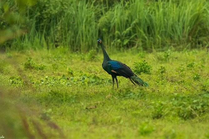 2-Day Trekking & Biking Nam Cat Tien National Park from HCM City - Bau Sau Crocodile Lake by jeep, foot, and boat