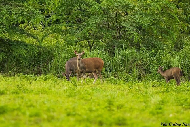 2-Day Trekking & Biking Nam Cat Tien National Park from HCM City - What the two days actually feel like