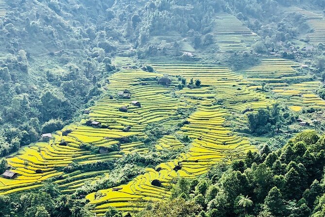 2-Day Trekking in Sa Pa from Ha Noi by sleeping bus - Bamboo forest and Giang Ta Chai