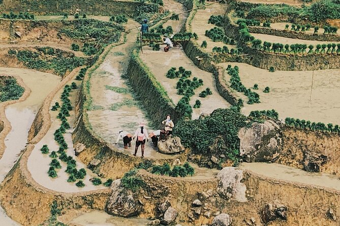 2-Day Trekking in Sa Pa from Ha Noi by sleeping bus - Su Pan and the comfortable return to Sapa