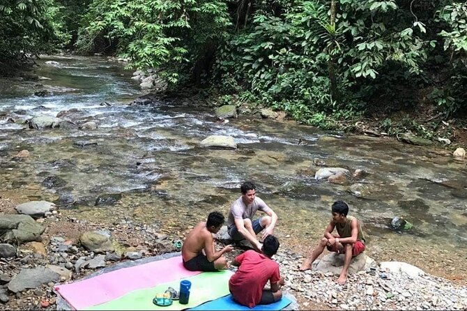 2 Days 1 Night Ethical Jungle Trekking - Day two: plants, monkeys, and the route home