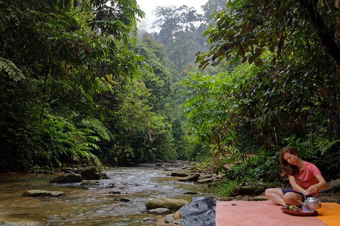 2 Days 1 Night Ethical Jungle Trekking - What $207.79 buys you
