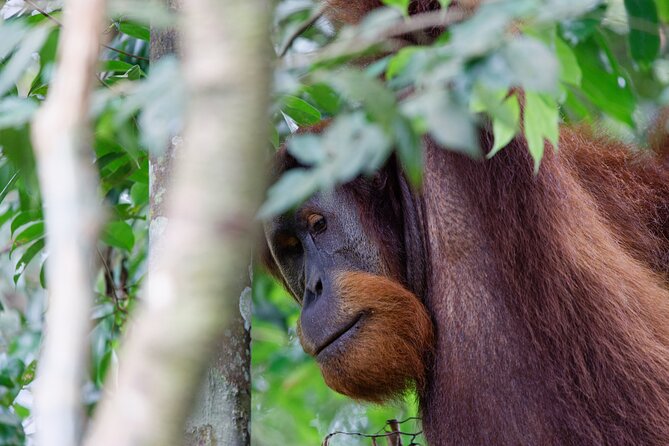 2 Days 1 Night Ethical Jungle Trekking - Practical details to settle before you go