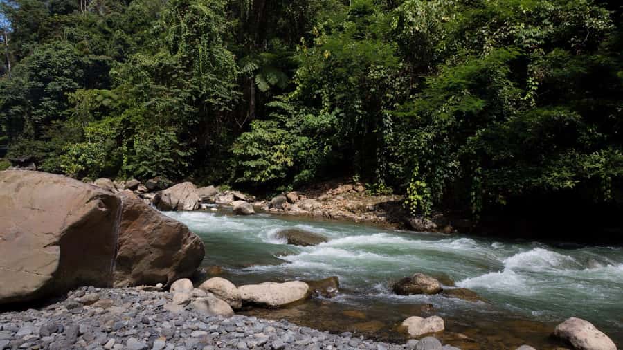 2 Days 1 Night Orangutan Trek Bukit Lawang - Searching for Sumatran orangutans