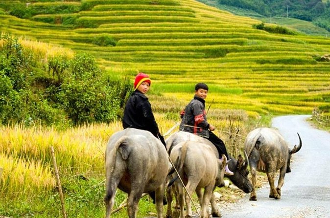2 Days 1 Night Sapa Trekking Group Tour at Homestay - Day two: the Red Dao villages near Giang Ta Chai