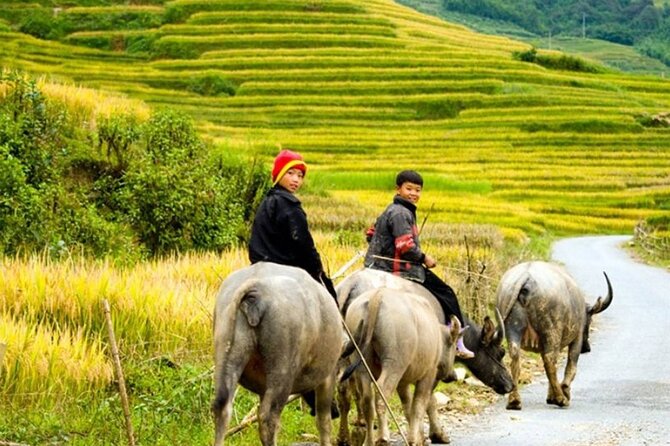 2 Days 1 Night Sapa Trekking Group Tour at Homestay - Returning to Sapa and the late ride back