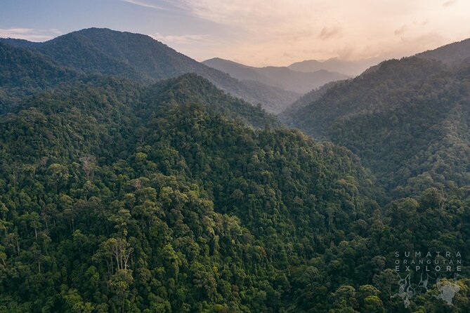 2 Days and 1 Night Ethical Jungle Trek - Why this overnight trek feels different from a day walk