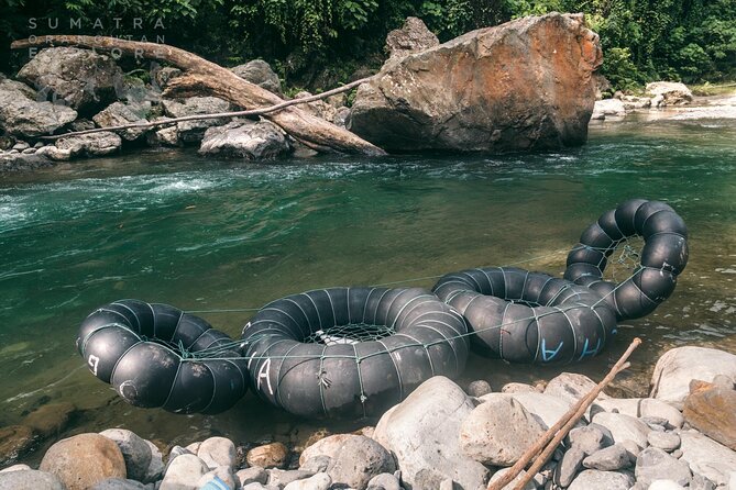 2 Days and 1 Night Ethical Jungle Trek - Day two: farther into the forest, then back by tube