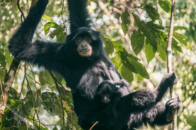 2 Days and 1 Night Ethical Jungle Trek - Wildlife ethics and what responsible viewing means here