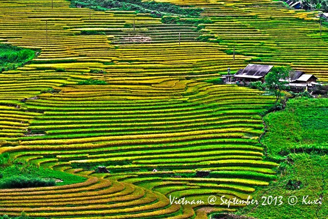 2 days authentic trekking tour in Sapa ( Homestay - Less touristy ) - Who should book this Sapa experience?