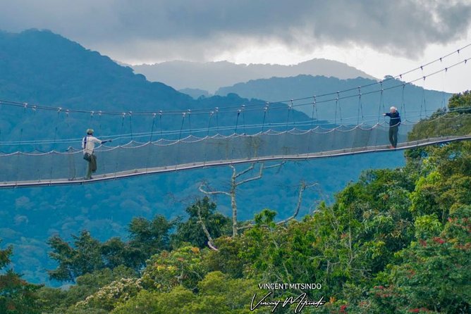 2 Days Chimpanzees trekking Tour and Canopy walk Adventure - What the $1,350 price covers