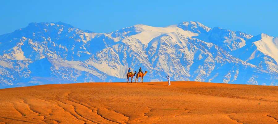 2 Days Desert Agafay and Atlas Mountains Trek From Marrakech - The biggest strengths and weaknesses