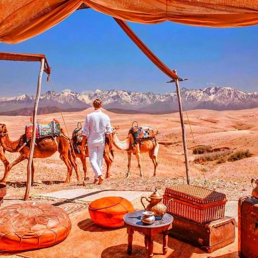 2 Days Desert Agafay and Atlas Mountains Trek From Marrakech - The camel ride and desert lunch