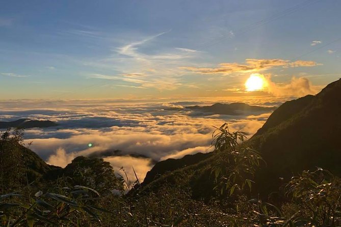 2 Days Fansipan Trekking - Day one: 10 kilometers through forest and streams