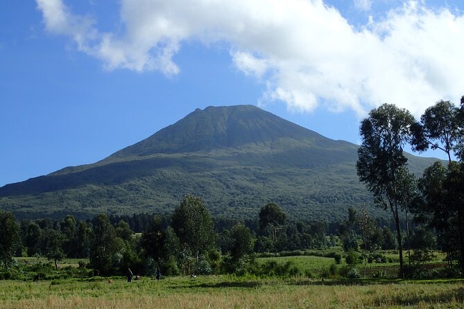 2 Days Gorilla & Golden Monkey Trekking Safaris - Who will enjoy this trip most
