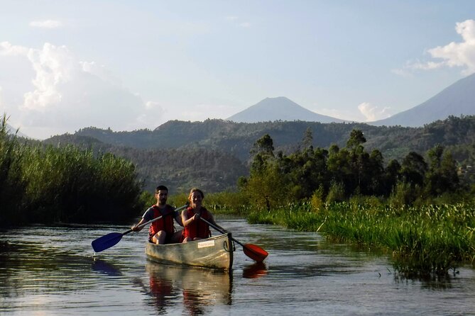 2 Days Gorilla & Golden Monkey Trekking Safaris - Finding golden monkeys in the forest