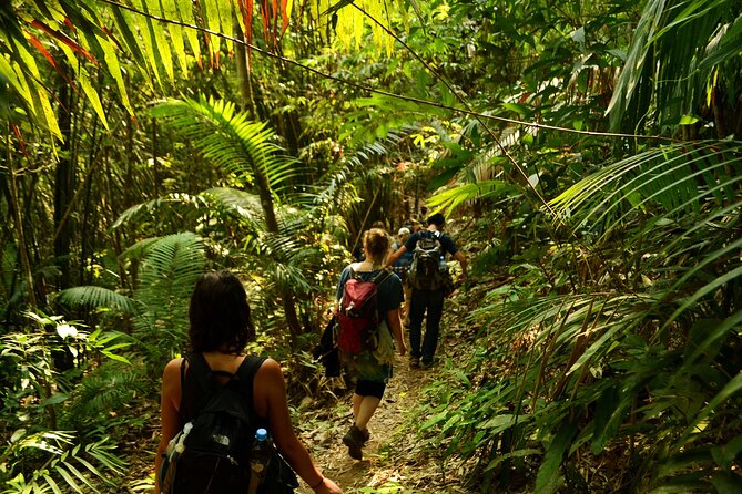 2 Days Multi Adventure in Nam Ha NPA: Trek and Kayak - Four hours through Nam Ha’s rainforest