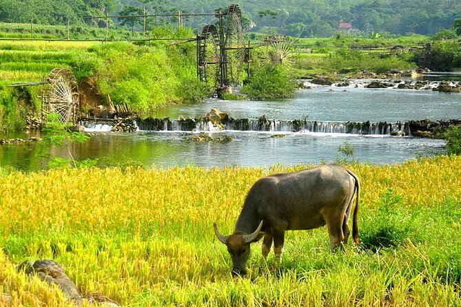 2 Days Pu Luong Offbeat Trekking Best for Mountain Lovers - Day one: Kho Muong village and Bat Cave