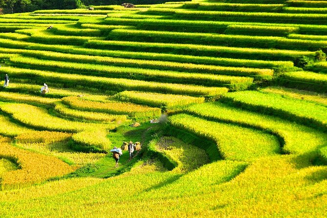 2 Days Pu Luong Offbeat Trekking Best for Mountain Lovers - Final call: a strong short escape for walkers