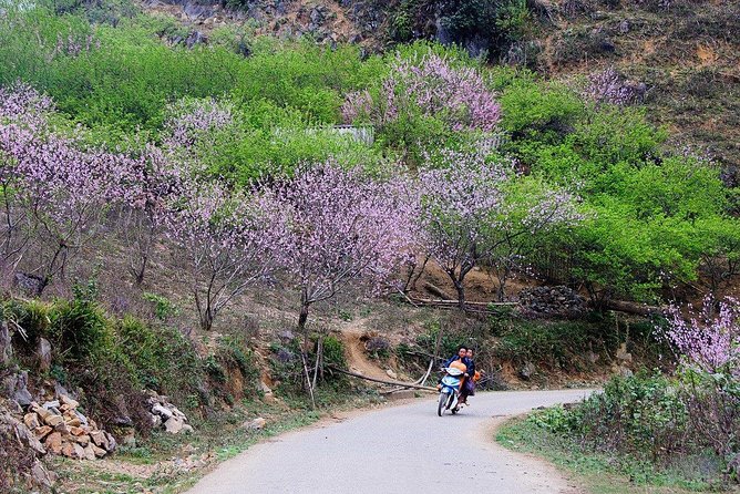 2 Days Sapa Trekking In Cat Cat And Ta Van Village From Hanoi - The early bus from Hanoi to Sapa
