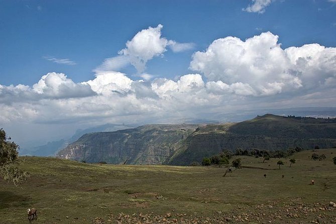 2 Days Simien Mountains Trekking - Why two days works well in the Simien Mountains