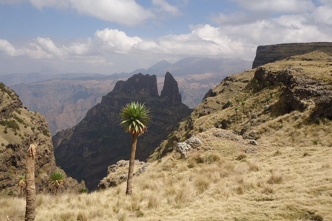 2 Days Simien Mountains Trekking - What the included support means on the trail