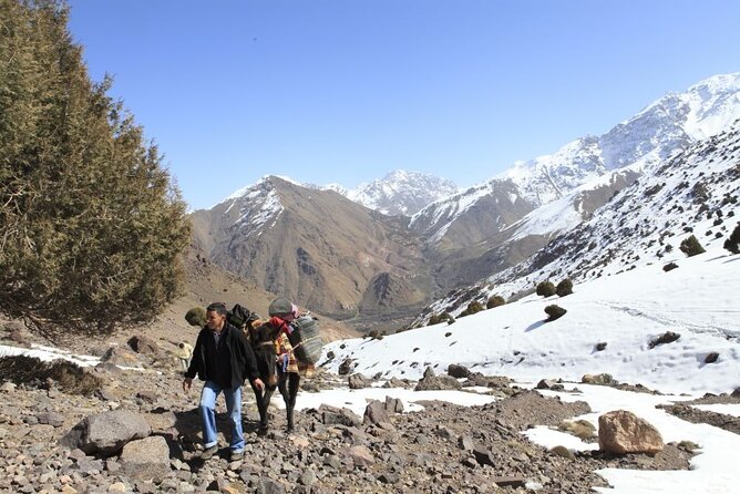 2-Days Toubkal Trek from Marrakech with Local Guide - What makes this Toubkal trek worth considering