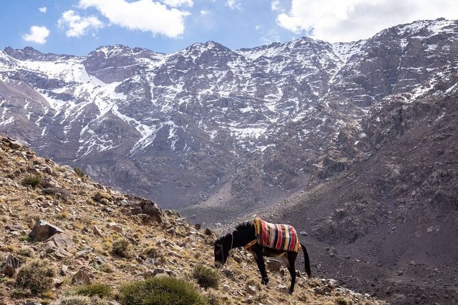 2-Days Toubkal Trek from Marrakech with Local Guide - Five hours toward the Toubkal Refuge